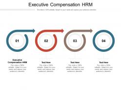Executive compensation hrm ppt powerpoint presentation outline topics cpb