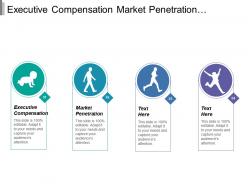 Executive Compensation Market Penetration Product Development Legislation Regulations
