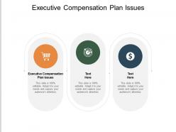 Executive compensation plan issues ppt powerpoint presentation show elements cpb