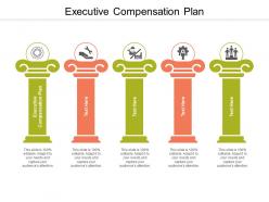 Executive compensation plan ppt powerpoint infographic template skills cpb