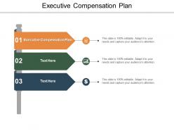 Executive compensation plan ppt powerpoint presentation visual aids cpb