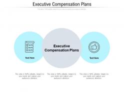 Executive compensation plans ppt powerpoint presentation slides examples cpb