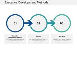 Executive development methods ppt powerpoint presentation portfolio infographics cpb