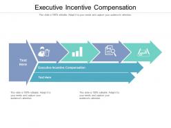 Executive incentive compensation ppt powerpoint presentation file demonstration cpb