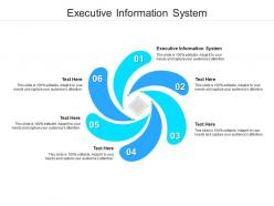 Executive information system ppt powerpoint presentation layouts maker cpb