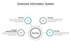 Executive information system ppt powerpoint presentation summary guide cpb