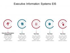 Executive information systems eis ppt powerpoint presentation portfolio slide portrait cpb