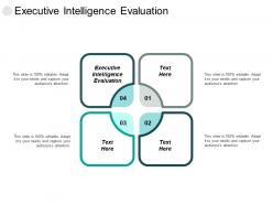 Executive intelligence evaluation ppt powerpoint presentation inspiration layout ideas cpb