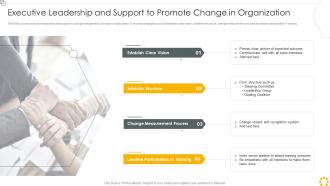 Executive Leadership And Support To Promote Change In Organization