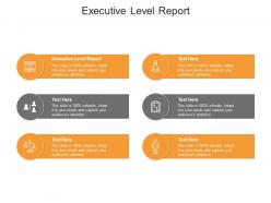 Executive level report ppt powerpoint presentation pictures infographics cpb
