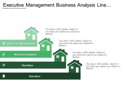 Executive management business analysis line operations resourcing planning