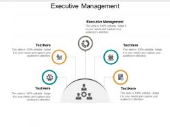 Executive management ppt powerpoint presentation gallery summary cpb