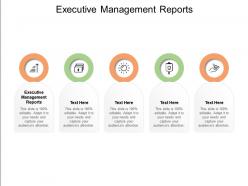Executive management reports ppt powerpoint presentation model good cpb