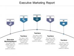 Executive marketing report ppt powerpoint presentation slides portfolio cpb