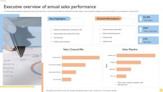 Executive Overview Of Annual Sales Performance