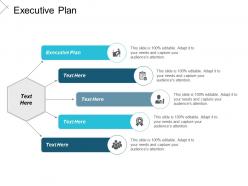 Executive plan ppt powerpoint presentation gallery outfit cpb