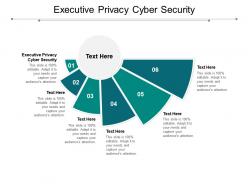 Executive privacy cyber security ppt powerpoint presentation layouts guide cpb