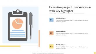 Executive Project Overview Icon With Key Highlights