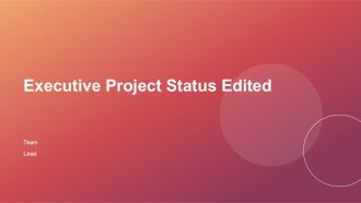Executive Project Status Edited PPT Outline ACP