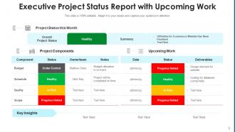 Executive project status report timeline resources milestones goals deliverables