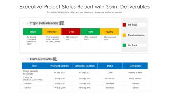 Executive project status report with sprint deliverables