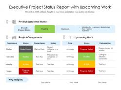 Executive project status report with upcoming work