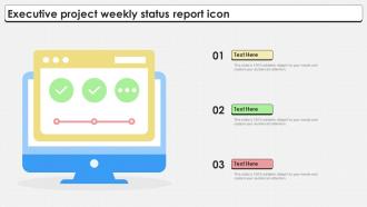 Executive Project Weekly Status Report Icon