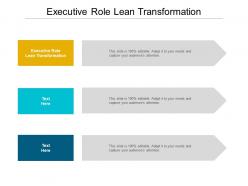 Executive role lean transformation ppt powerpoint presentation professional portrait cpb