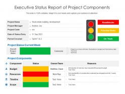 Executive status report of project components