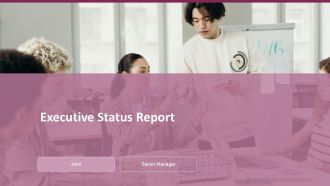 Executive Status Report PPT Presentation ACP