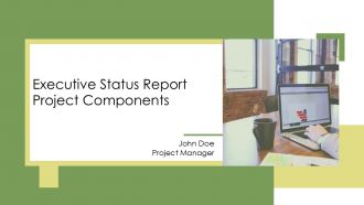 Executive Status Report Project Components PPT Demonstration AT