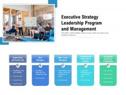 Executive strategy leadership program and management