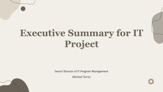 Executive Summary For It Project PPT Demonstration VA