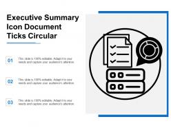 Executive Summary Icon Document Ticks Circular