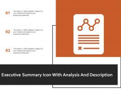 Executive Summary Icon With Analysis And Description