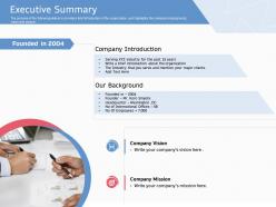 Executive summary introduction ppt powerpoint presentation show gallery