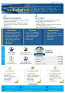Executive summary investment pitch presentation report infographic ppt pdf document