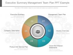Executive summary management team plan ppt example