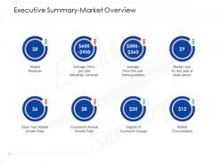 Executive summary market overview ppt model example file