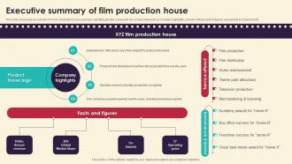 Executive Summary Of Film Production House Marketing Strategies For Film Productio Strategy SS V