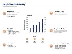 Executive summary ppt powerpoint presentation infographic template themes