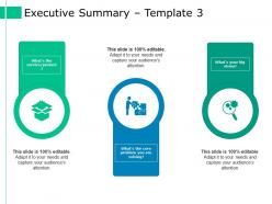 Executive summary ppt styles model