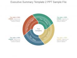 Executive summary template 2 ppt sample file