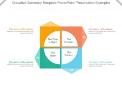 Executive summary template powerpoint presentation examples