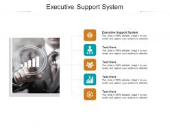 Executive support system ppt powerpoint presentation layouts backgrounds cpb