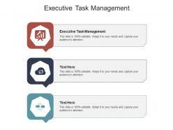 Executive task management ppt powerpoint presentation outline slideshow cpb