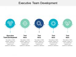 Executive team development ppt powerpoint presentation file objects cpb
