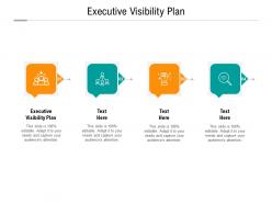 Executive visibility plan ppt powerpoint presentation inspiration shapes cpb