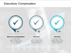 Executives compensation ppt powerpoint presentation infographics background image cpb