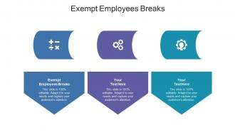 Exempt employees breaks ppt powerpoint presentation gallery backgrounds cpb